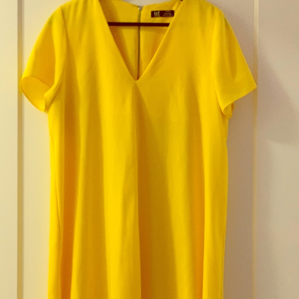 Zara Dress